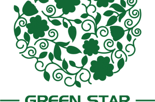 Logo Du An Final - Green